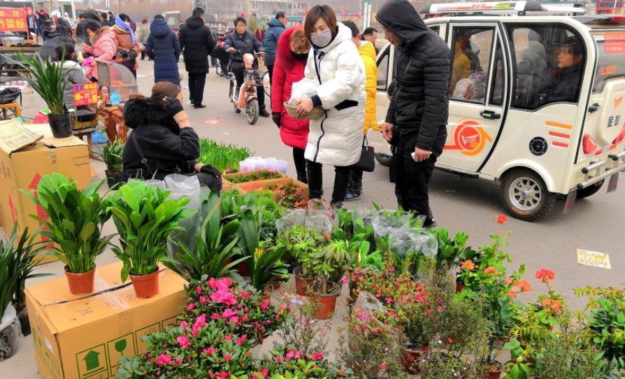 干湿度|养花知识：天冷入手“地摊货”后，这么操作才不会一盆都留不住