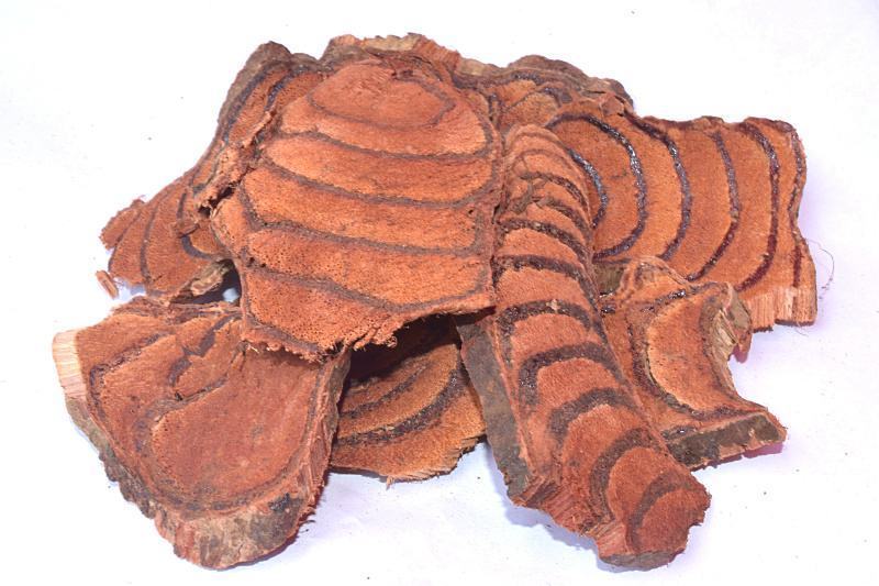 文君然|公开治“麻木”的小偏方！两味药，补血+通络，治手麻脚麻