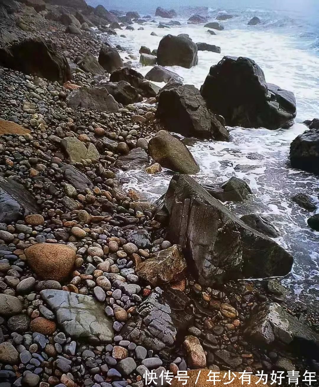 自然教育|绿聚书圈｜永怀惊奇之心