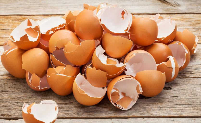 养花离不开肥料,园艺新人可这么自制,省钱又好使