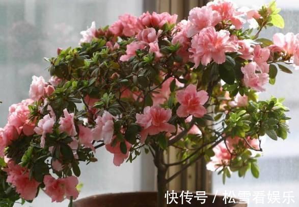 阳台放上几种东西,让你家财运亨通,一生富贵旺到爆!