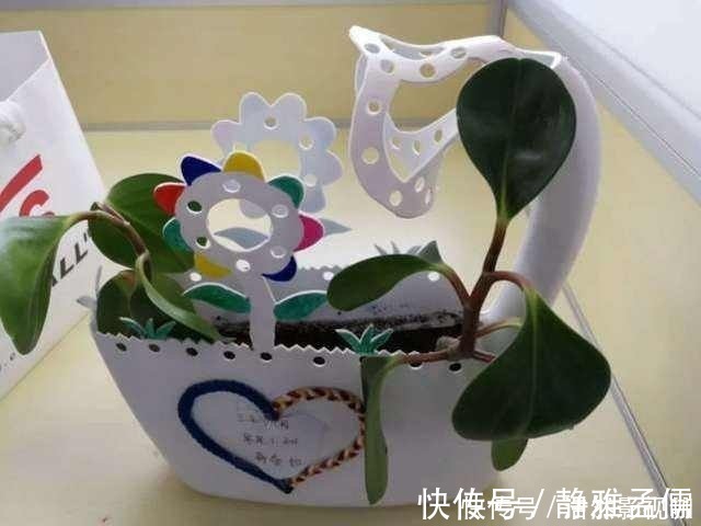 花盆|废弃的洗衣液桶剪两刀，瞬间变身养花神器，铲子花盆钱全省了！
