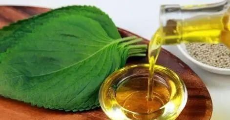 李丽|产妇月子里喝下百草枯,重症监护室一天一万,三天后丈夫放弃治疗