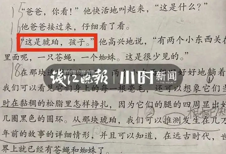 语文老师！因为一个逗号，妈妈和小学语文课本杠上！网友：感觉小学白念了