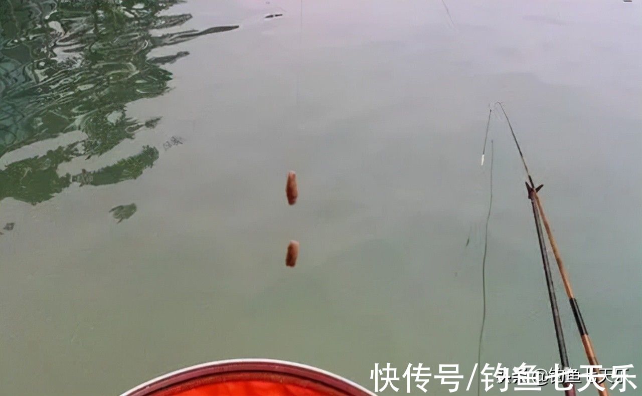 窝料|钓鱼学会“养窝”,鱼才能越聚越多!鱼窝做好了“斤鲫”自然驾到