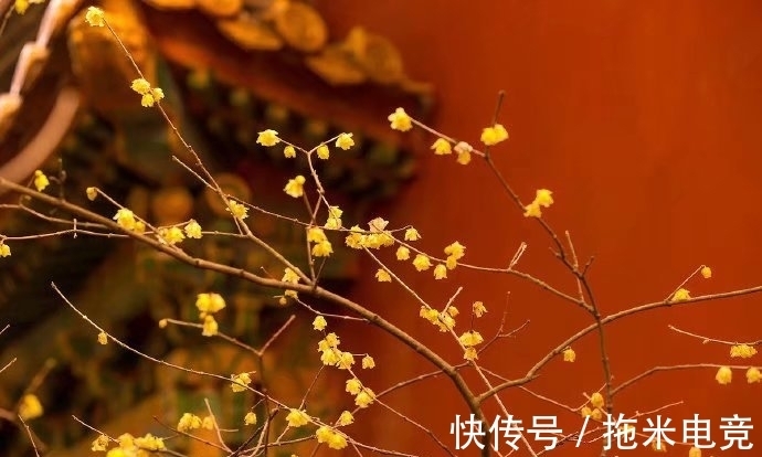 李煜#一代词帝李煜用27个字写饮恨,含蓄深幽,读来荡气回肠