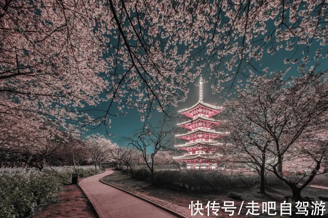 南疆|快开啦！这些地方的春景正在悄悄席卷全国，大气又美丽，别错过