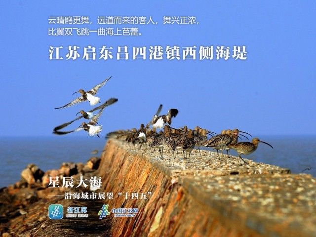 大海|新时代，这是江苏大海寄给你的蓝色明信片