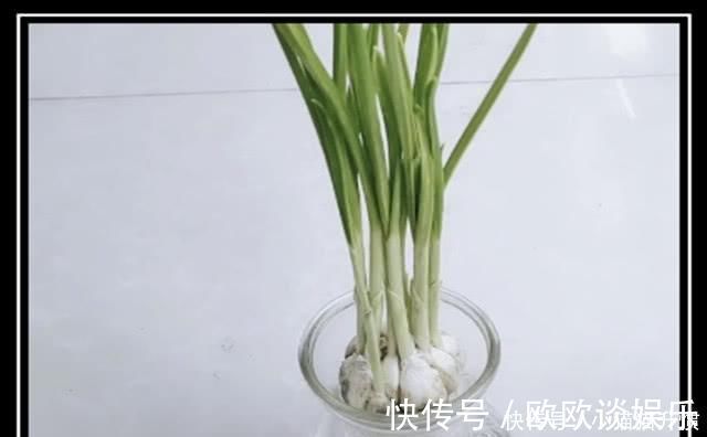 实践性|母亲把小孩寒假作业炒变成菜，蒜头曰记被强制结束，小孩嚎啕大哭