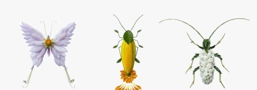 树叶$他拿花瓣、树叶随便一剪一贴就卖23万!网友:买过的人都说“值”