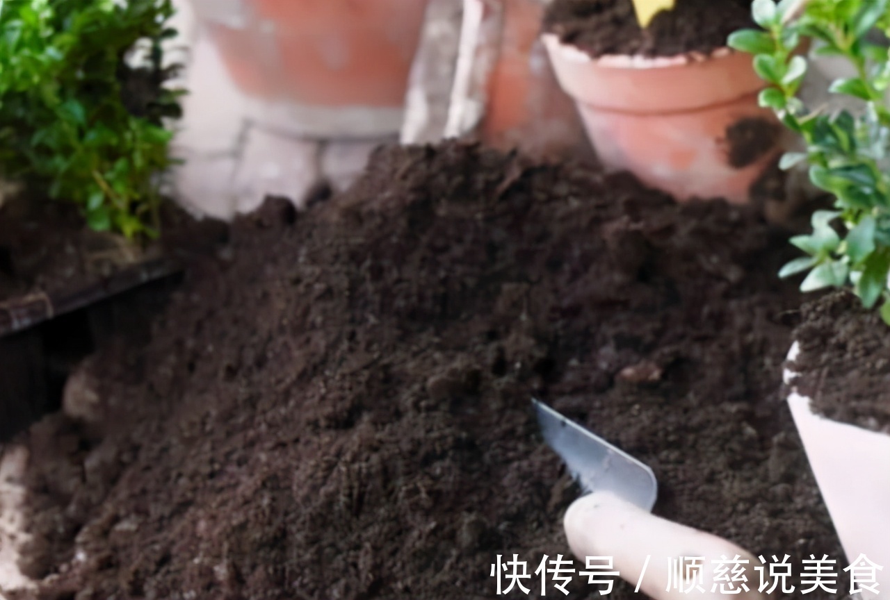 养花其实不用买土,这么配置万能营养土,有营养又透气