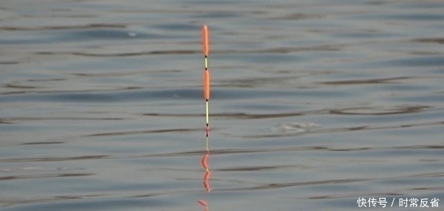 降低|野钓新手想在野河里钓大鱼,这几个步骤有效降低难度