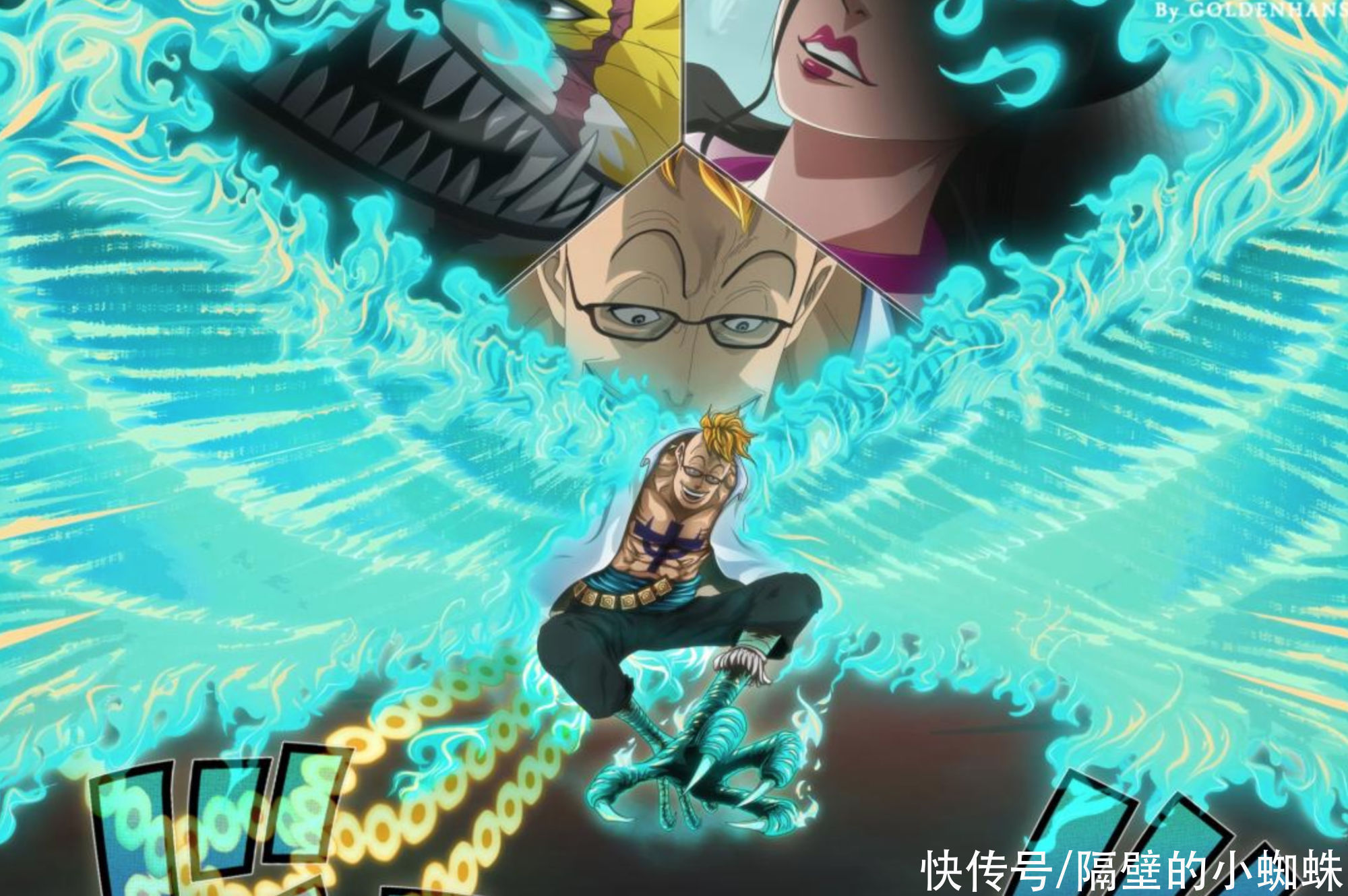 小蜘蛛|海贼王,以藏之所以没回归和之国,是因为白胡子的阻拦