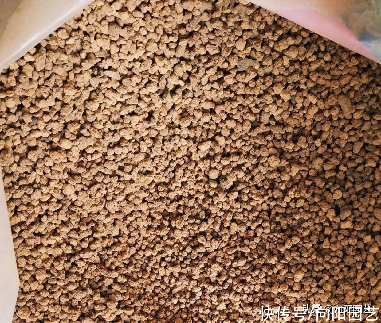 酸性|养盆景，养多肉，必不可少的赤玉土，辅助发根，促进生长发育