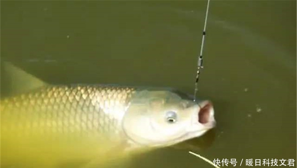 水闸|夏季钓不到鱼?往往是气压低导致鱼儿不开口,换个招数,轻松钓鱼