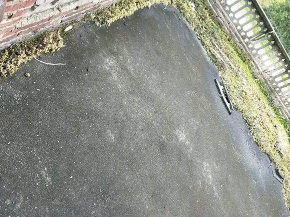 老房子|屋顶上的野草,人称“房神”,别再拔了,是福气!