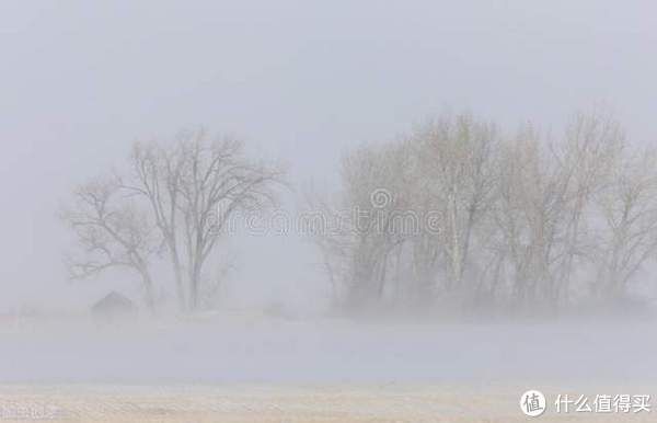 暴风雪|再读知青文学里程碑经典，感悟特殊时期的人性伟大