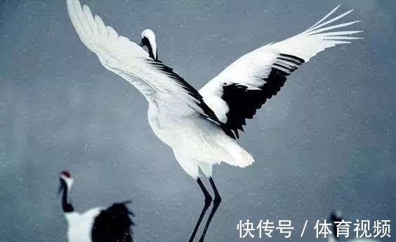 李贺&10大“狂”诗词排行榜,李白《侠客行》仅第三,前两名分别是谁?