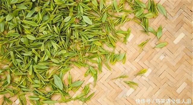 茶叶|中国作为茶叶发源地,为何每年还要花费2亿多,从印度进口茶叶?