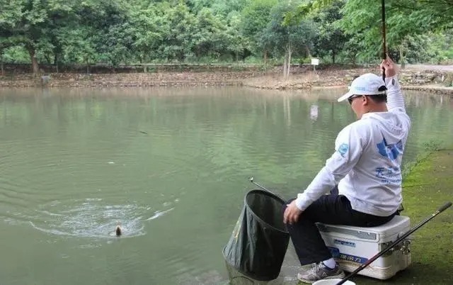 鱼钩|20斤的鱼都没断，3~5斤的鱼起竿却断节、爆竿，究竟是什么原因？