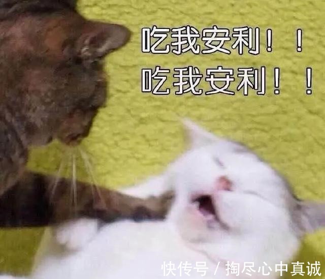 皮肤 你的秋冬面霜上白名单了吗这几款太好用啦!