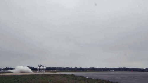 |搞笑动图:妹子,你这是相亲成功了吗?