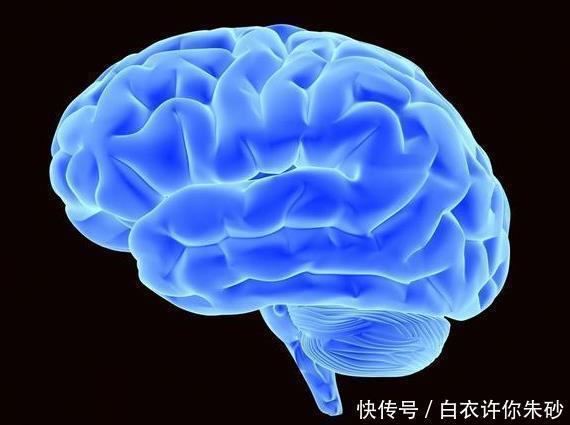 医生4类人群易发颈动脉问题,不及时治疗可能引起脑中风