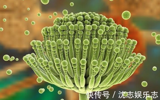 食物|再三强调让家人尽早停止食用2种食物,或是肝病的“温床”