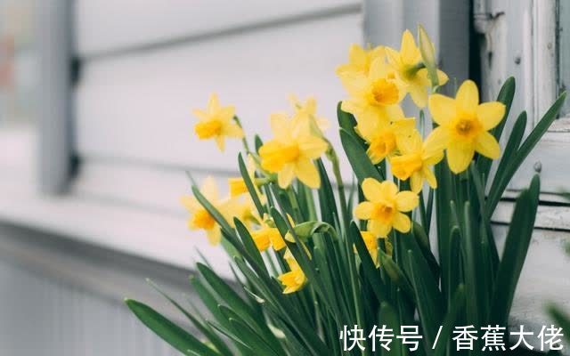 财神|近段时间得到财神点名，喜事缠身，中奖发财