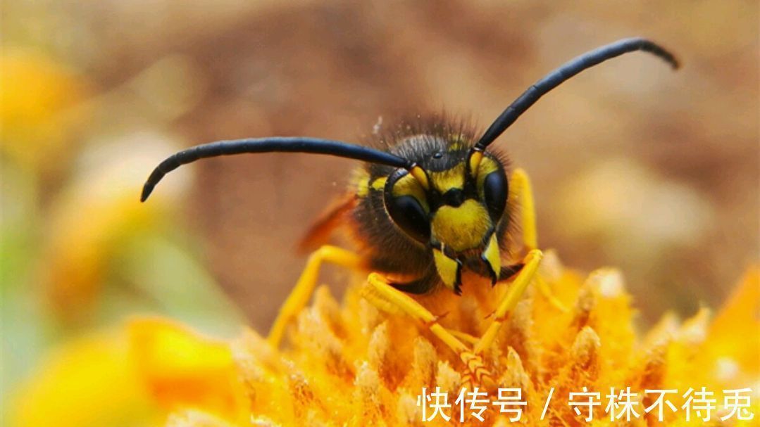 23个冷知识:经过检验真实存在,虽无处使用但却十分有趣