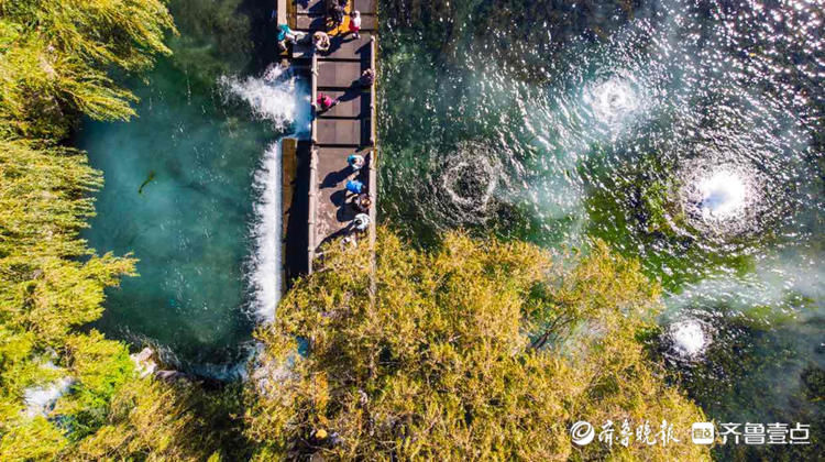 烟台壹粉记录惊涛拍岸瞬间，收获美景红包|10月20日最佳情报| 情报员