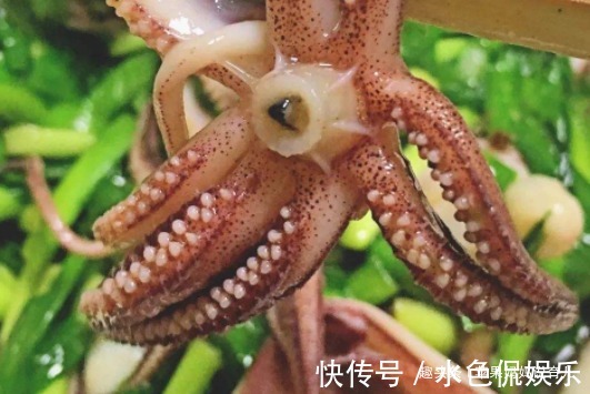 韭菜|喷香馋人，吃着很过瘾，做法不难，孩子爱吃，不接受任何反驳的菜