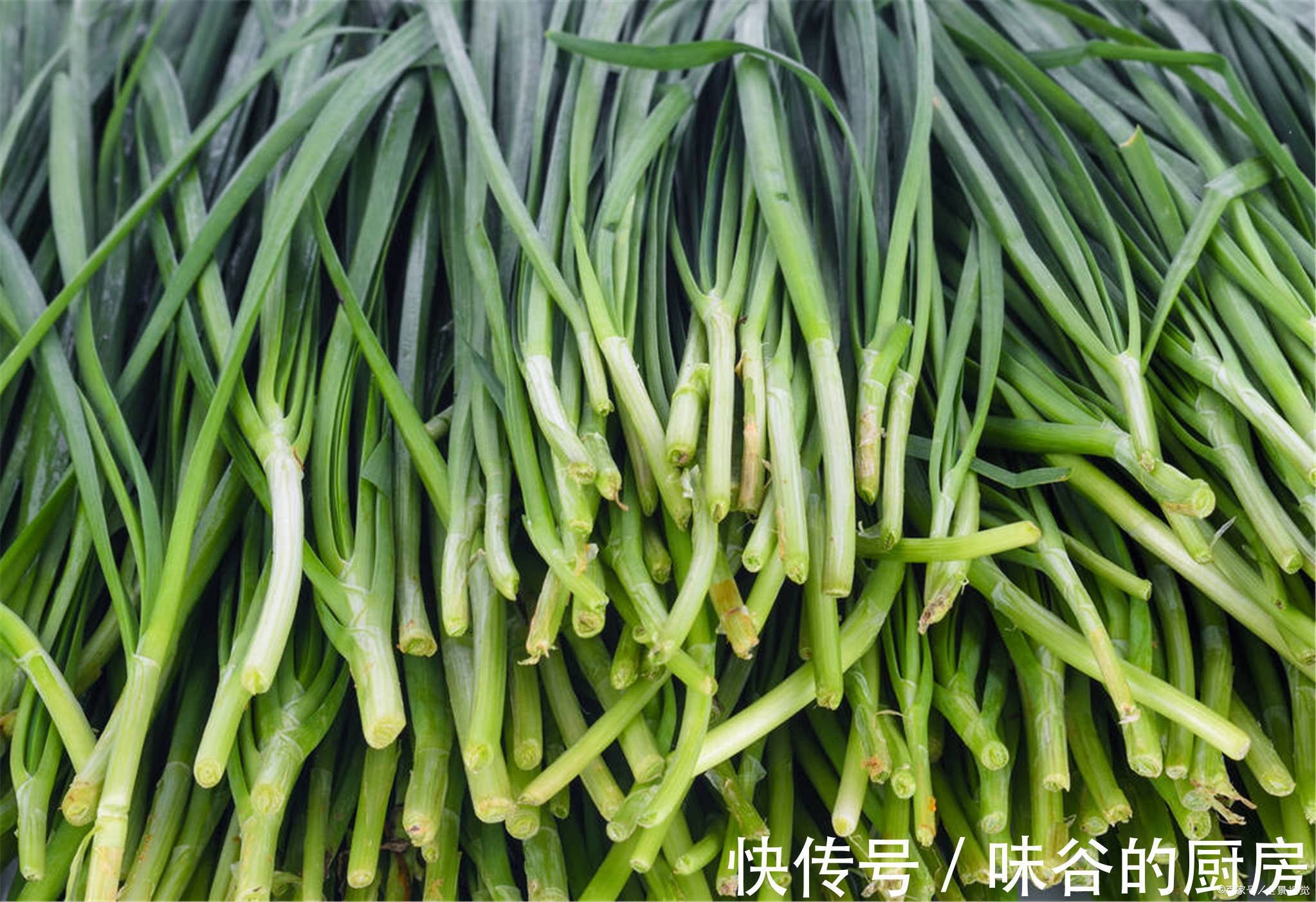 韭菜|明日立春,牢记“多吃3绿2白,少食2味”,顺应时节,家人都受益
