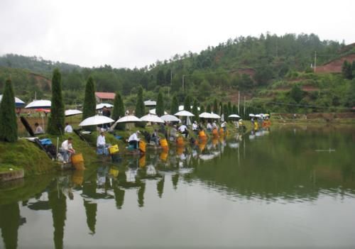 钓鱼|不要再小看钓鱼人了，看看要想成为垂钓者需要的基本条件