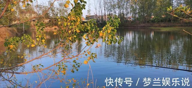 一条鱼没钓到，钓友被打出熊猫眼，围观者说：活该