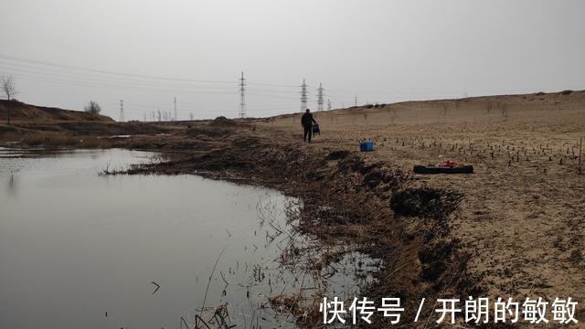 鲫鱼哭运在油锅,批量钓法了解一下,一天能钓七八十斤鱼