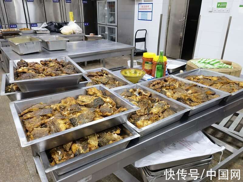 食堂|扬州大学捕捞2000斤大鱼送给学生免费吃