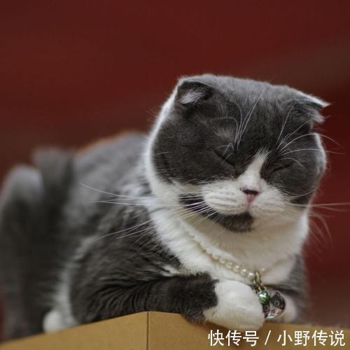 |幽默笑话:我帮朋友看烟摊,来了一位腿脚不便的漂亮女孩