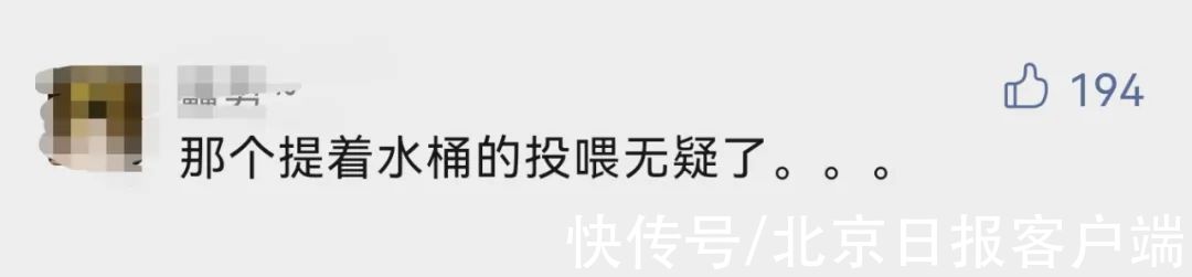 疫情|西北大学因防疫改带饭回寝，“干饭人”有趣的灵魂藏不住了