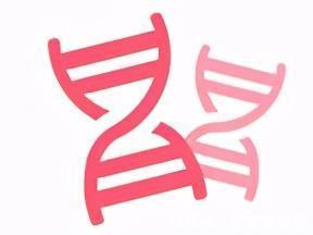 做试管婴儿|女性多少岁生孩子最好?医生:尽量在这个年龄前