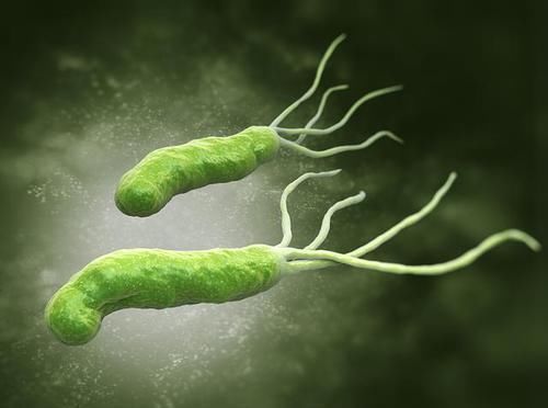 调理|33岁男子幽门螺杆菌400,伴有胃炎,坚持吃1物,胃变强,幽门跑了