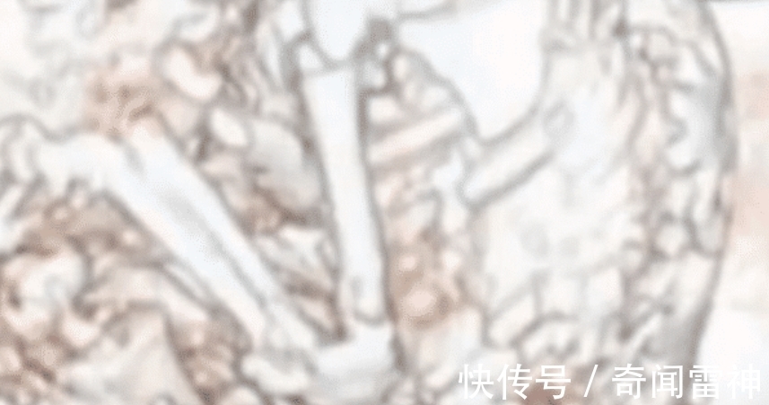 怀孕|怀孕61年之久?“婴儿”迟迟不肯出生,被发现时母亲已年近百岁