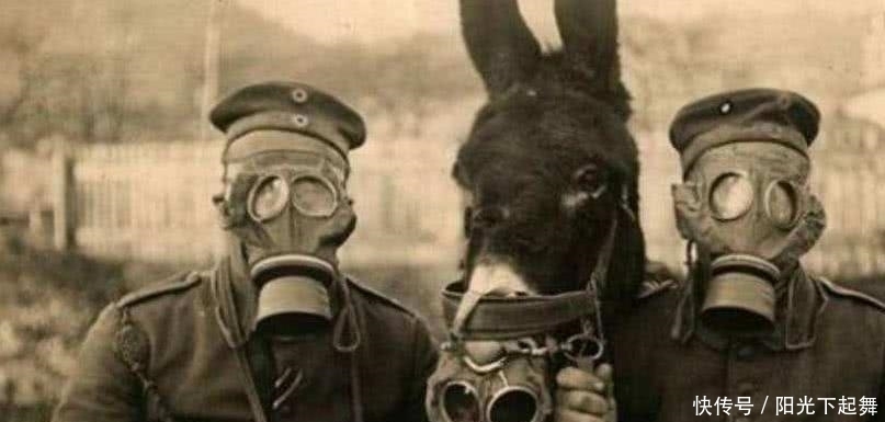 化学武器|二战时,德军早已掌握化学武器,为何没见在战场上使用?