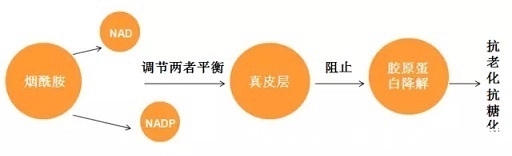 提取物|学生党平价洗面奶,夏季油皮护肤分享,5分钟直接get