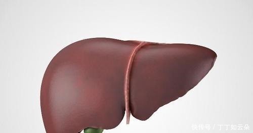 肝脏患者渐增?医生:3种家常菜尽量减少食用,或可减轻肝负担