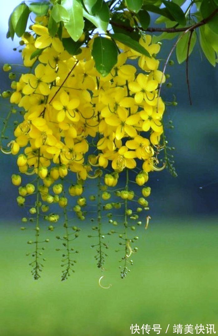 春光灿烂$很有意境的句子,生活是个万花筒,酸甜苦辣尽藏其中