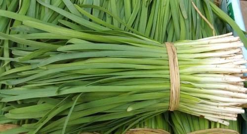 每逢佳节胖三斤，试试这道“鲜加鲜”，又叫洗肠草，多吃不长胖