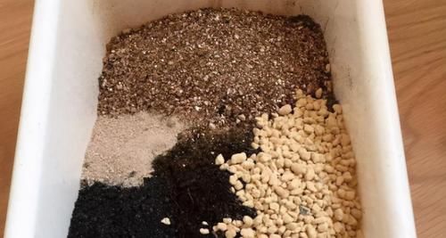 养花换盆期间有很多“讲究”，弄清楚，换完植物猛窜个长花叶