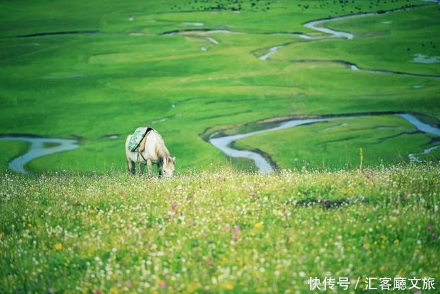 甘南最美的绿色，中国唯一以黄河命名的地方