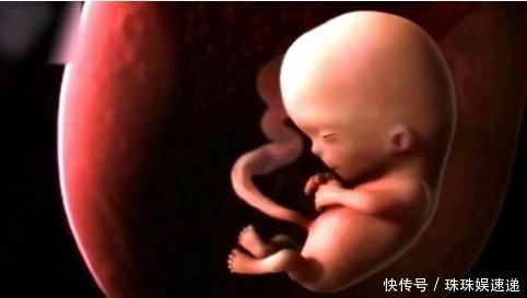妈妈|孕早期,胎儿3个月都在忙些什么?看完心都被他萌酥了